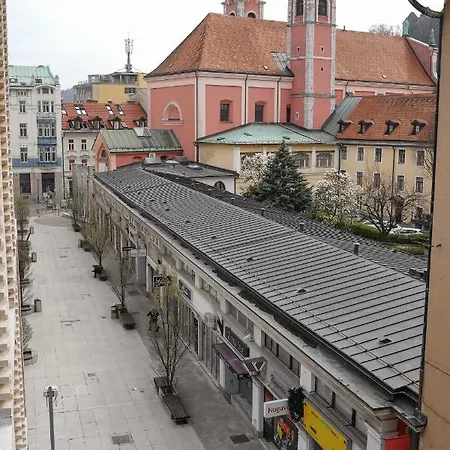 アパート Castle View Luxury リュブリャナ